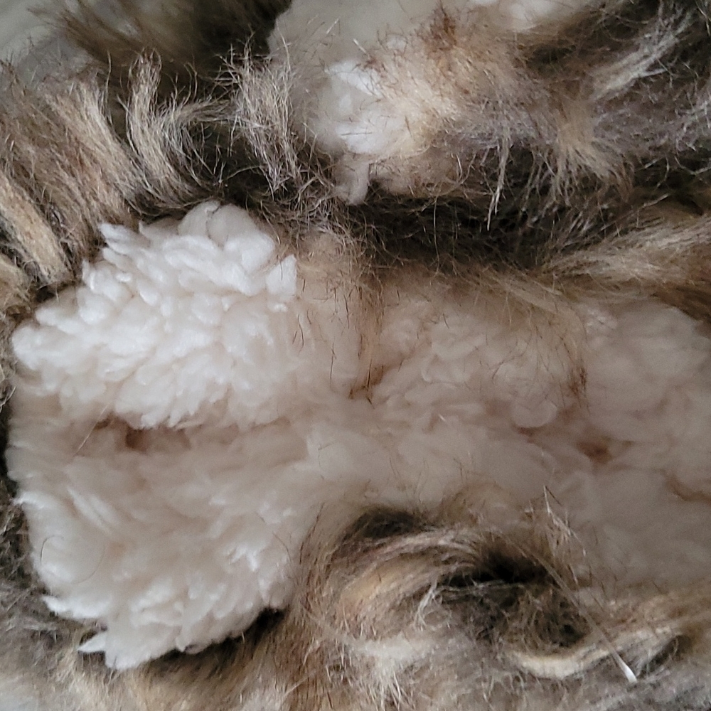 Slipper - Picture 6 of 8